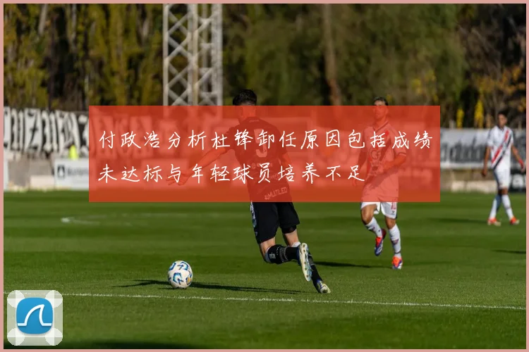 付政浩分析杜锋卸任原因包括成绩未达标与年轻球员培养不足