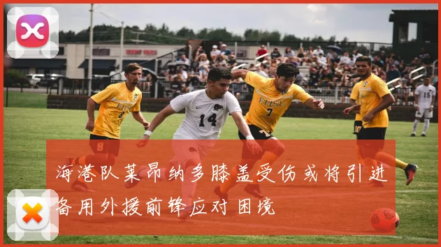 海港队莱昂纳多膝盖受伤或将引进备用外援前锋应对困境