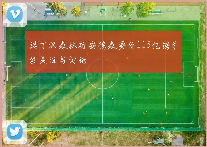 诺丁汉森林对安德森要价115亿镑引发关注与讨论